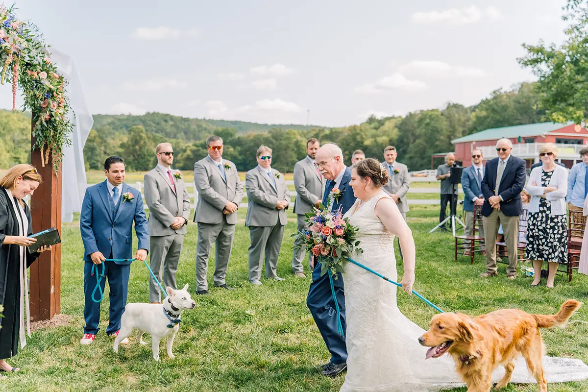 Wagging Tails & Wedding Vows